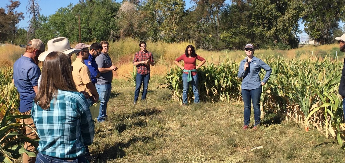 Yerka Melinda leading an alternative crop research tour at New Crop Field Day in Fallon, Nevada