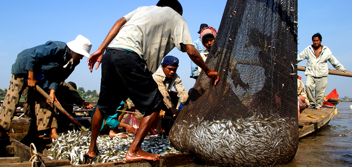 unloading fish nets on the Tonle Sap River in Cambodia