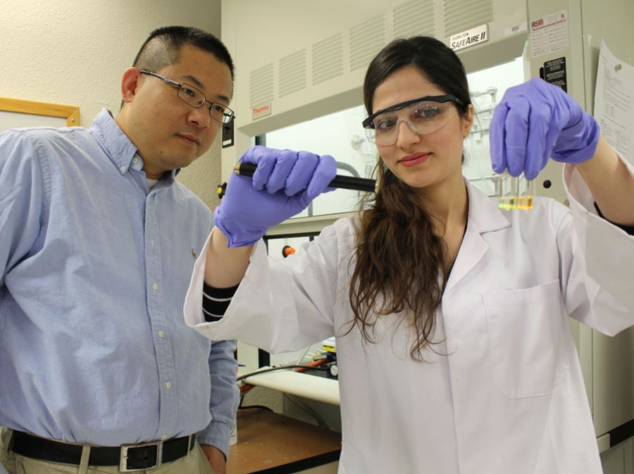 Research Xaioshan Zhu and graduate student Masoumeh Saber Zaeimian working in lab