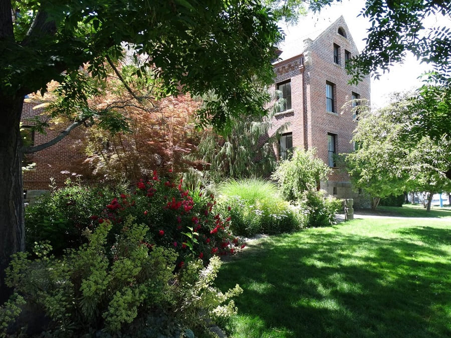 Jimmie's Garden sits between Manzanita Hall and Manzanita Lake