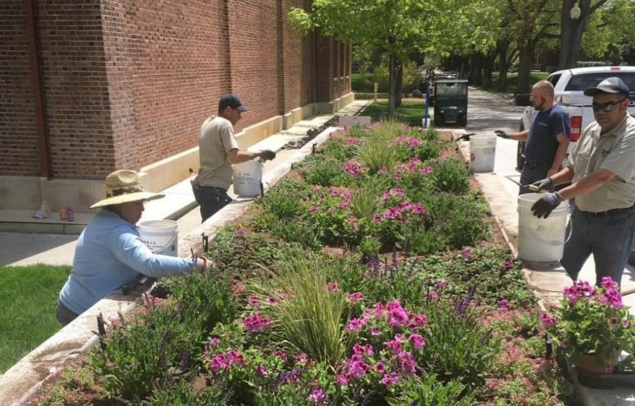 Grounds Services workers planting flowers in the large Veteran's Memorial planter outside the Pennington Student Achievement Center