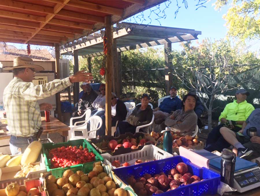 Participants listening to an orchard demonstration