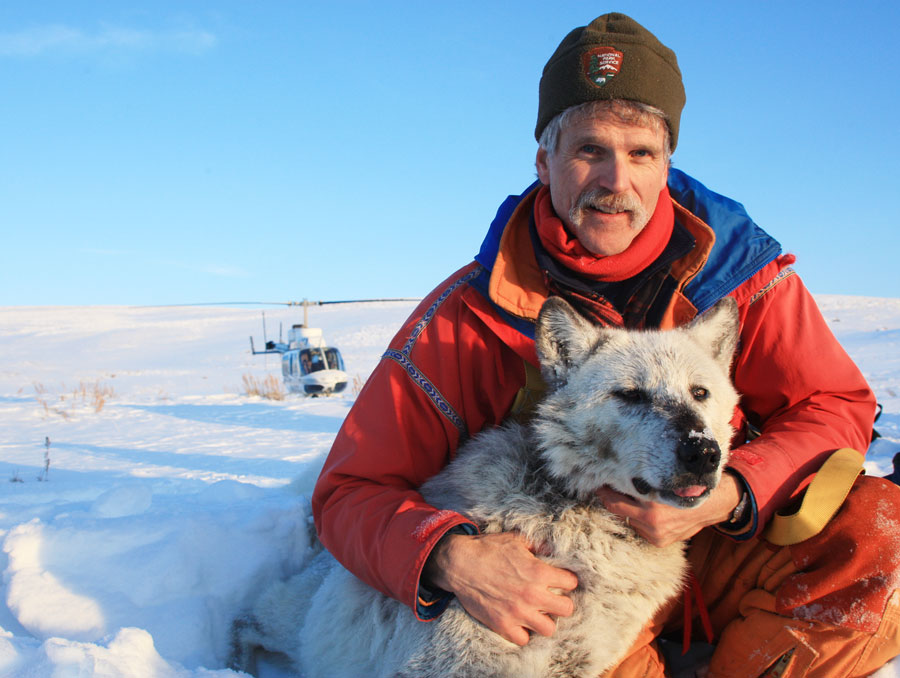 Doug Smith posing for a photo with a gray wolf in snowy Yellowstone National Park.