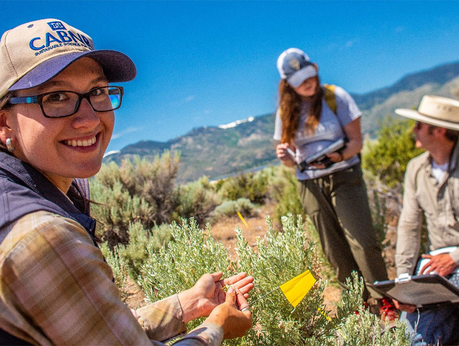 Rangeland Ecology & Management students collecting plant and soils data on a range.