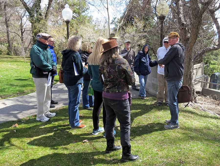 Participants of tree walk identifying a tree