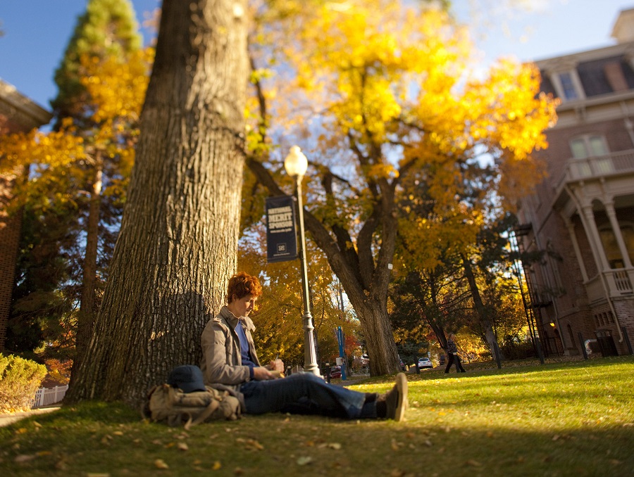 A student takes notes sitting under a large tree on the University Quad. Morrill Hall is in the background, and it is autumn, so the leaves are changes.