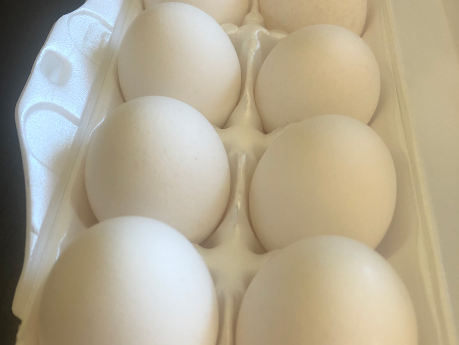 eggs in a carton