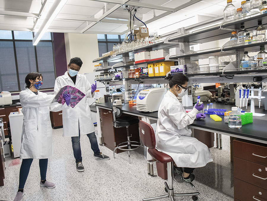 three students in a William N. Pennington Engineering building lab