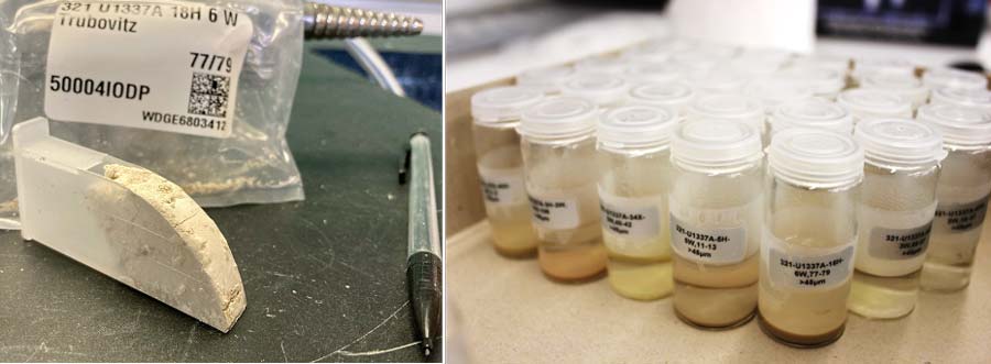Sediment samples before and after cleaning.