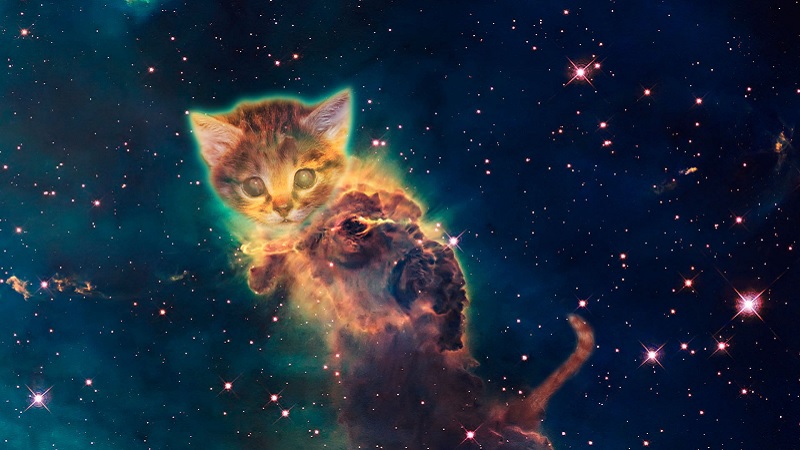 A cat head nebula