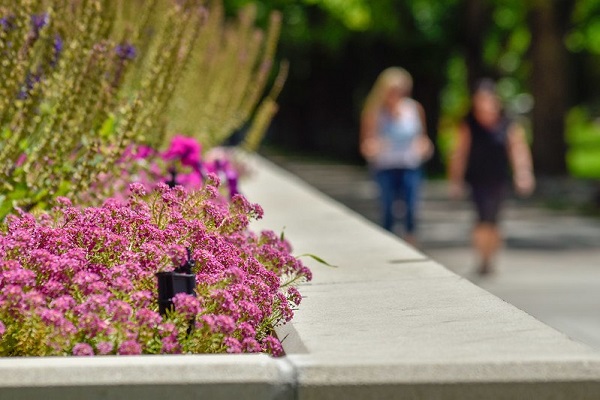 People walking with flowers in the foreground