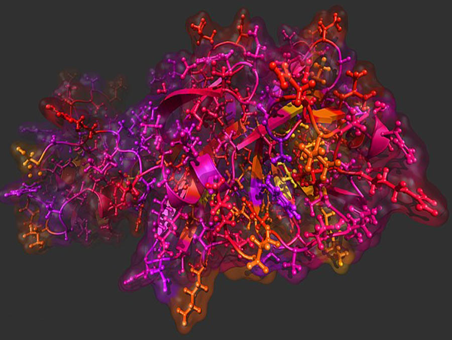 Novel Corona virus model