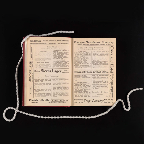 The 1906 city directory open to pages containing listings for local schools, newspapers, and government officers.