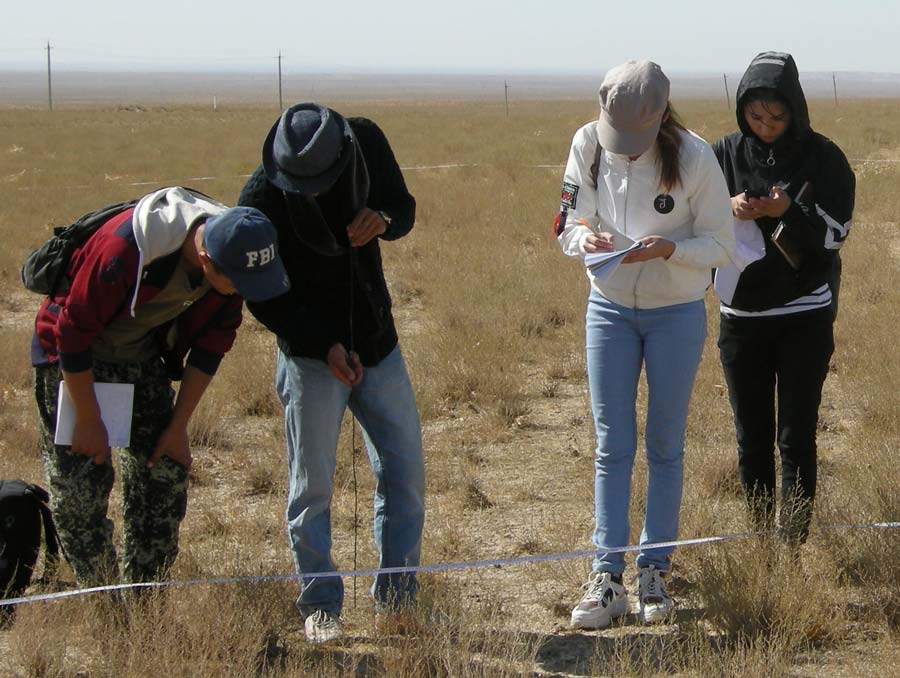 Four Uzbekistan grad students measuring sagebrush in a field