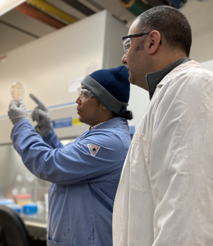 Yftah Tal-Gan and graduate assistant Anthony Harrington examine a peptide assay.