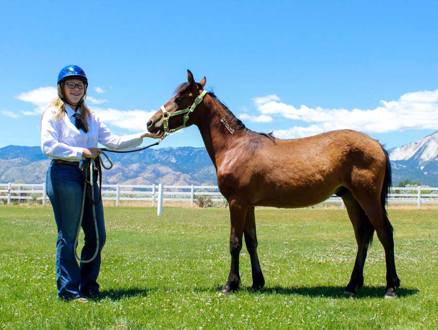 4-Her holding lead of young horse