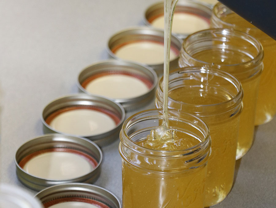 Honey being poured into jars