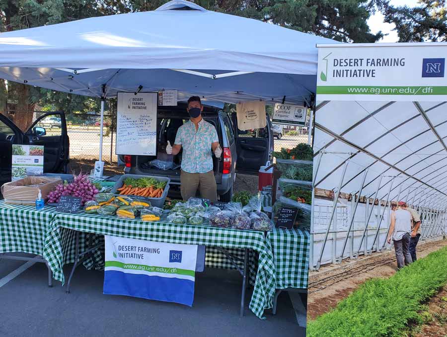 Man wearing mask and gloves gives thumbs up while standing behind a fruit and vegetable stand