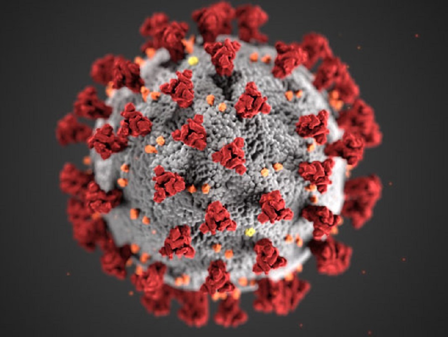 Computer generated illustration of the novel coronavirus, COVID-19