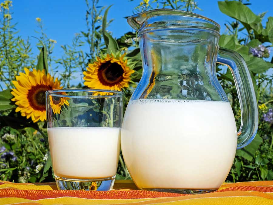 A pitcher and glass of milk sitting on a table with sunflowers in the background.