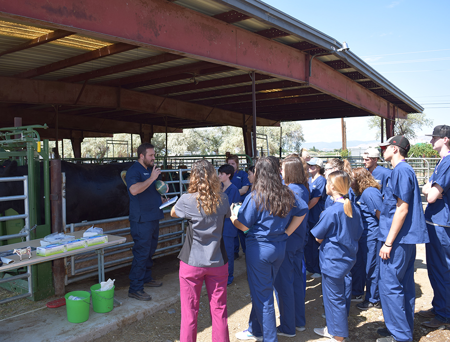 Mozart Fonseca lectures class at Main Station Farm