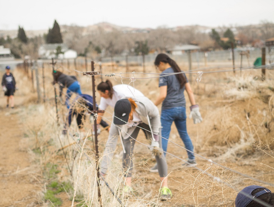 Student volunteers pick up trash along a barbed wire fence 