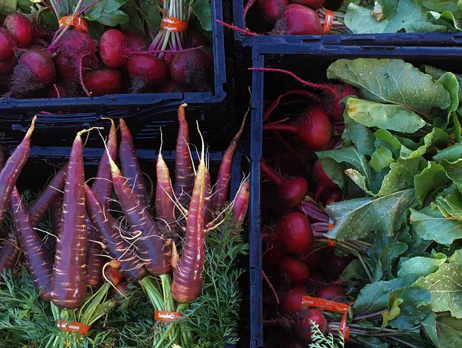 Crates of fresh produce