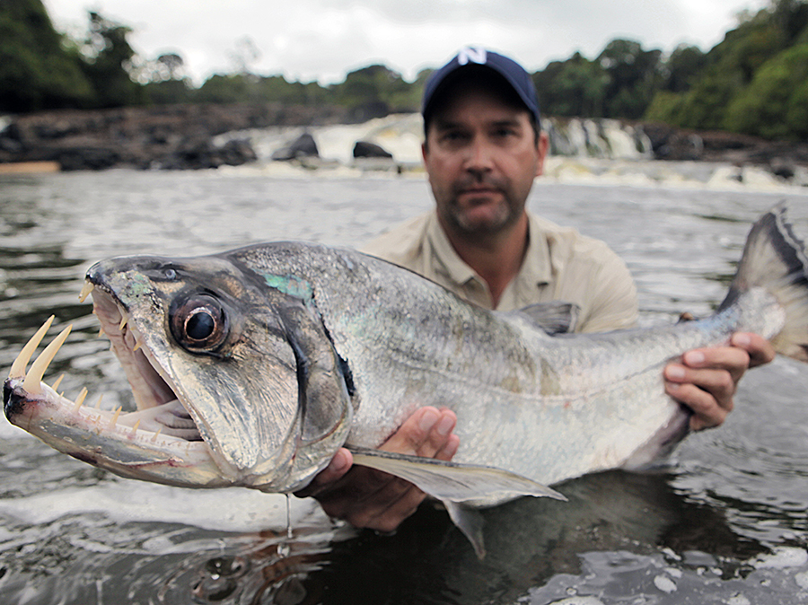 Zeb Hogan holding Payara in rewa river