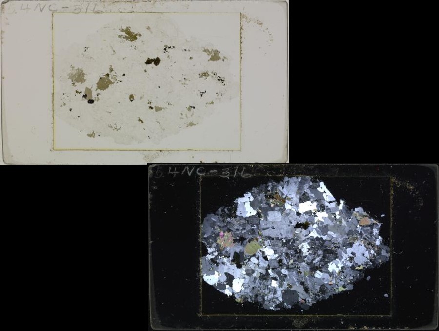 A composite image of rock thin section, in both regular light and cross-polarized light.