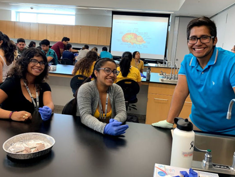 A photo of CBESS mentor and UNR Med medical student Sergio Trejo teaching neuroanatomy to students during the first CBESS event in July 2019.