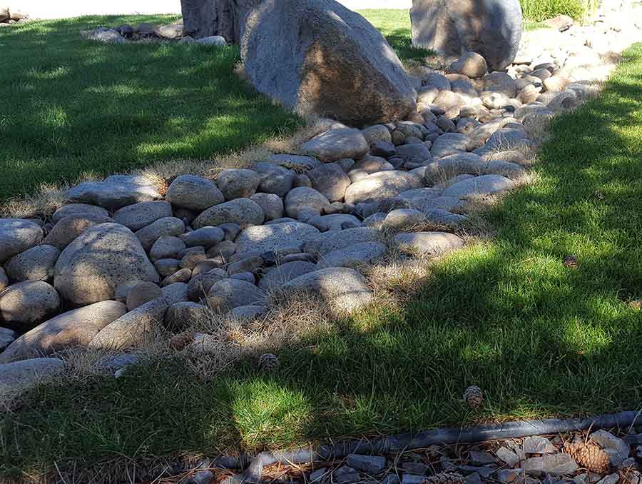 Lawn with dry creekbed 