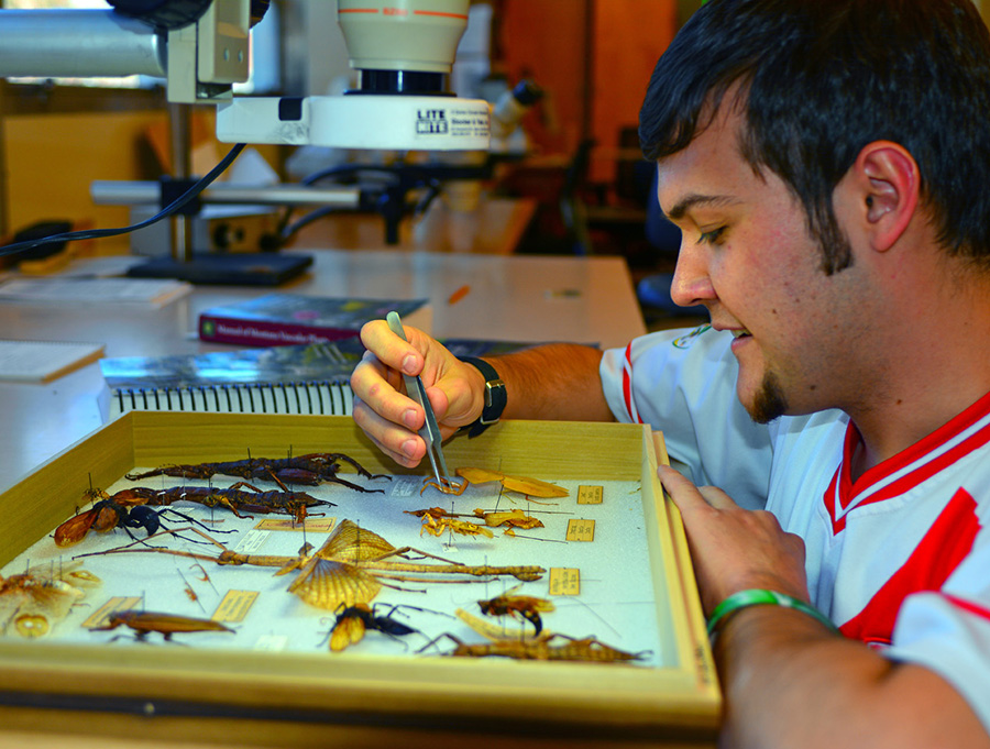 msueum exhibit prep