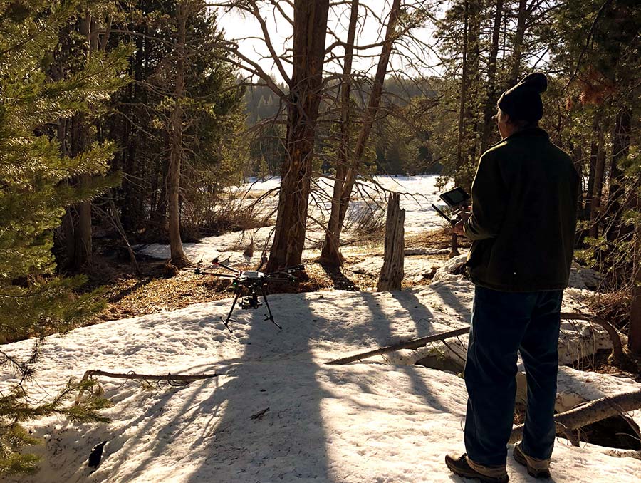 Student piloting a drone in a forest