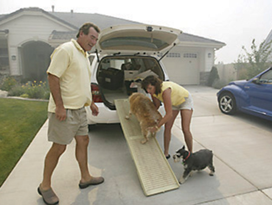 People helping dogs into a car with a ramp