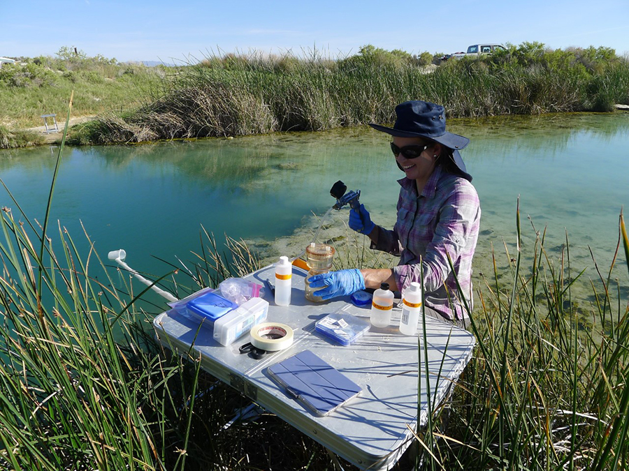 Bridget Ayling sampling water