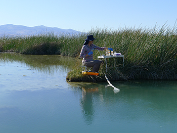 sampling hot springs water