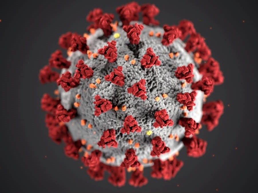 An image of the novel coronavirus; image was developed by the Centers for Disease Control.