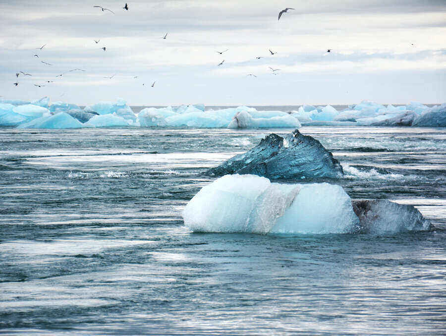 Image of several melting pieces of ice on a warming ocean with birds flying overhead