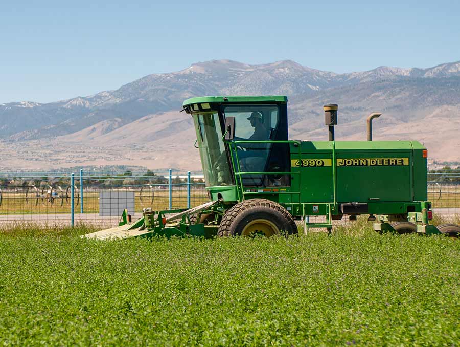 Tractor cutting alfalfa in a field. 