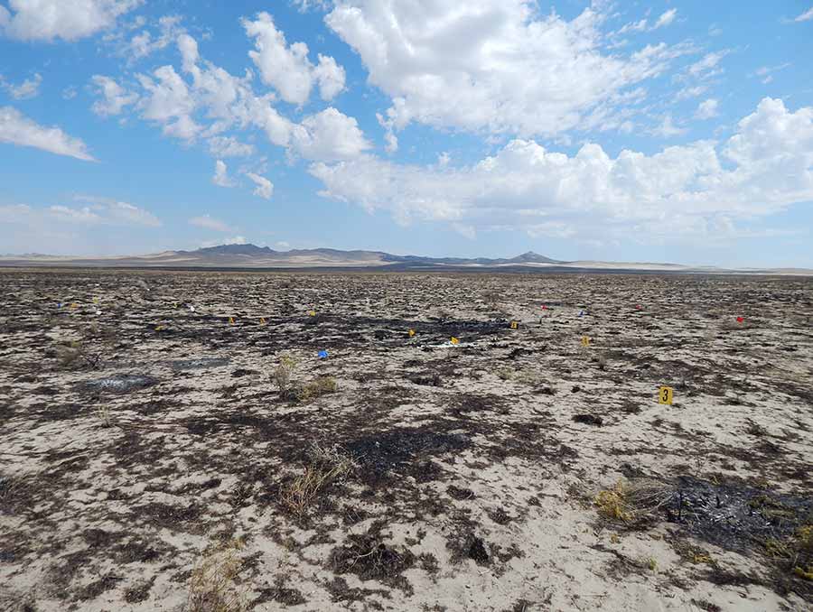 Desert land with different colored flags in the ground. 