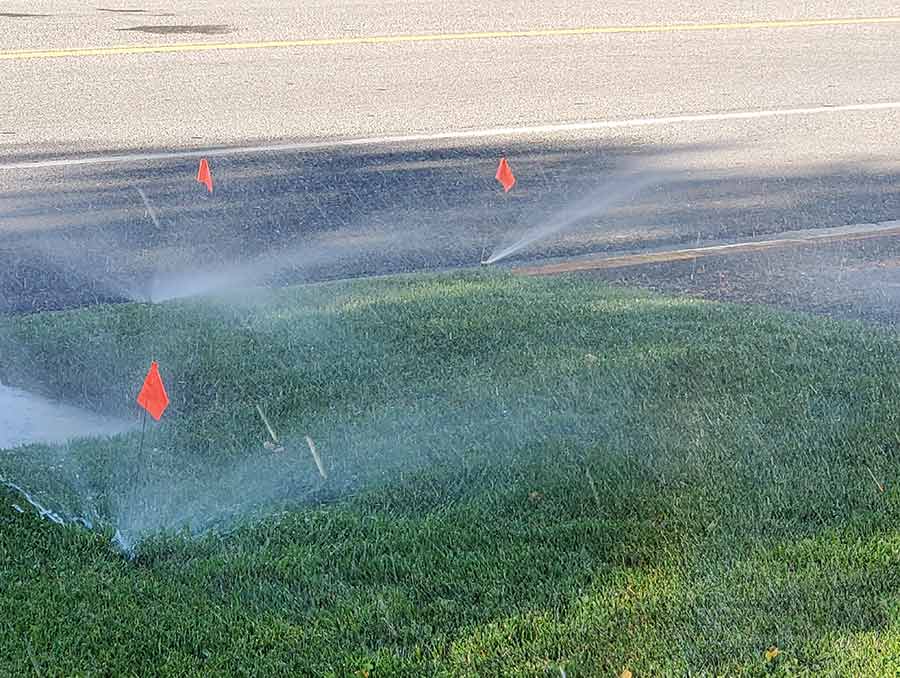 Active sprinklers on a lawn. 