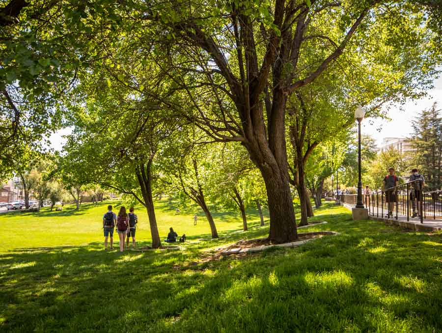 Students on the University campus.