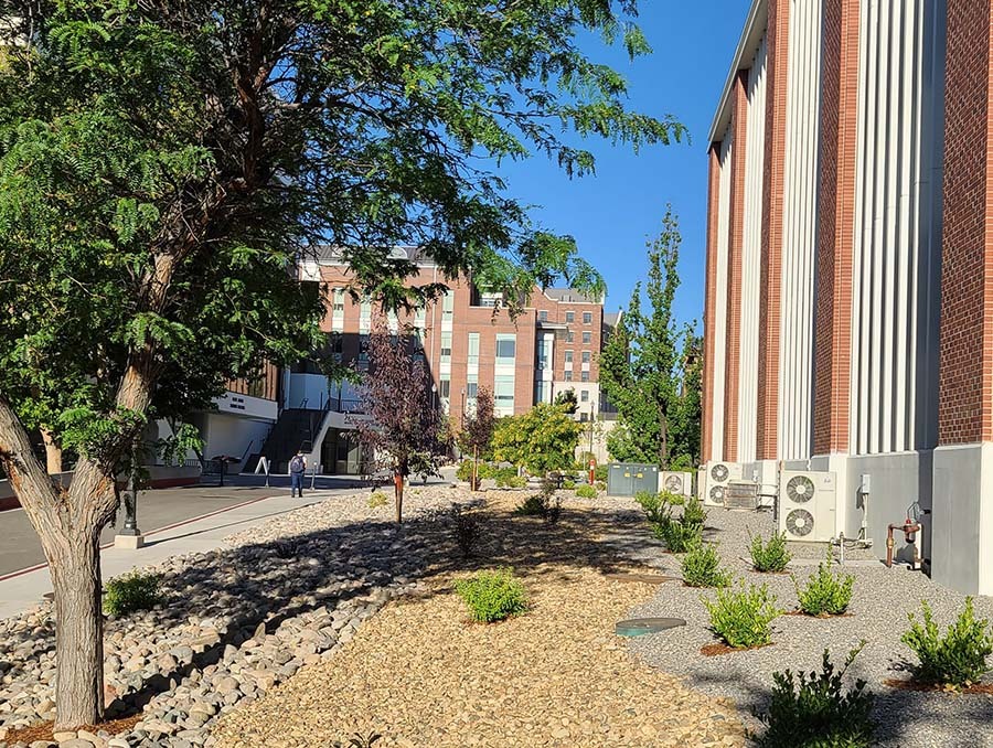 Landscape image of Mikeal Carver's beautification project at the University's chemistry building