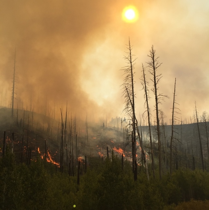 Chilling and gloomy image of a forest slope with an orange, smoky sky, barren and charred trees, and some active flames still burning.