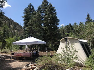 Artist campsite with tent and table inside campground