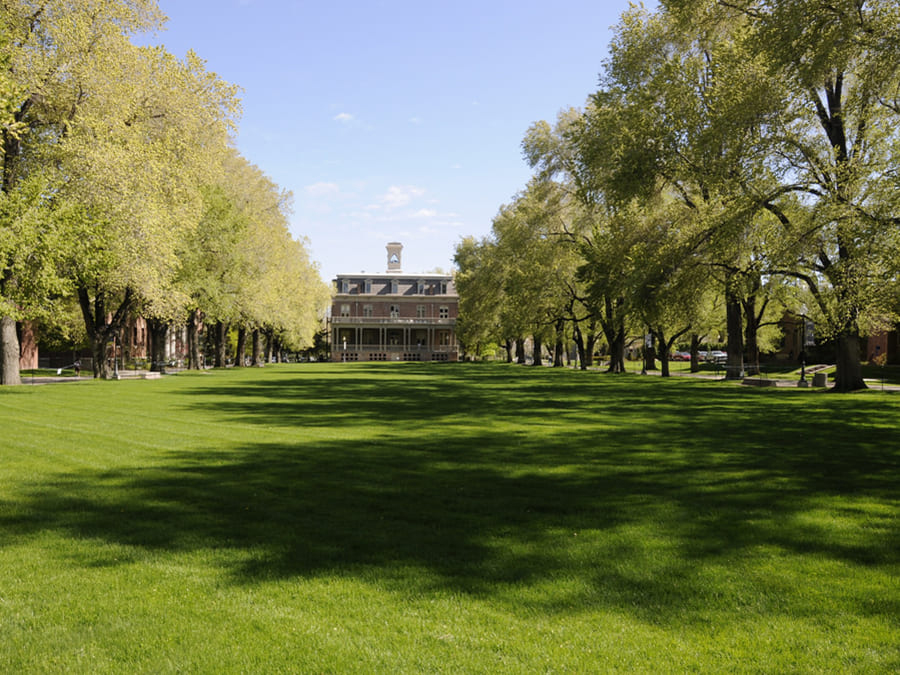 quad at morril hall