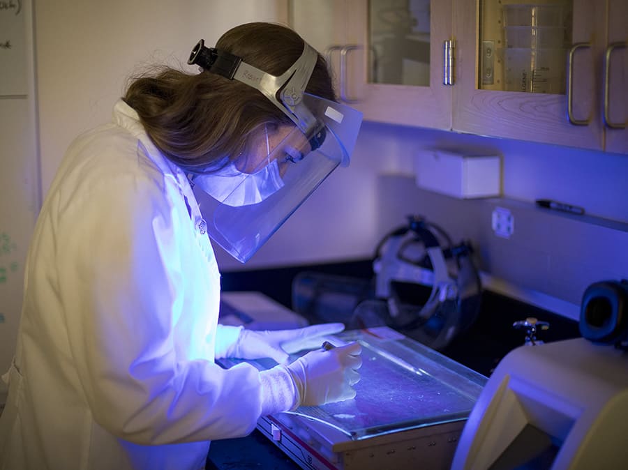 lab worker testing covid disinfectant