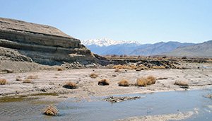 Walker River