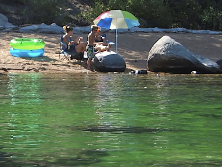 algae bloom at Lake Tahoe beach