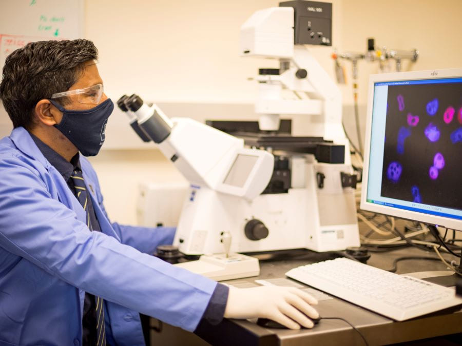 Subhash Verma working in his microbiology laboratory